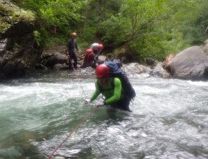 夏メイン北日高 敗退
