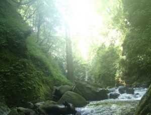 2014.8.2~8.3 寿都幌別川