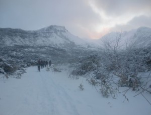 2014.12.6~12.7 NP大砲岩往復・富良野岳北尾根引き返し