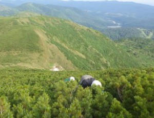 白井川本流~余市岳~白井左股