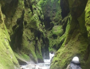 1デイ沢ツアー2015