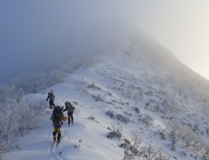 2015.12.12~12.13 (2-0) 徳舜~ホロホロ