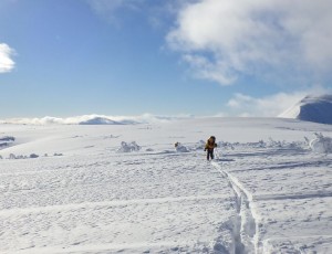 2016.1.16~.17 長白稜~白井岳~朝里岳
