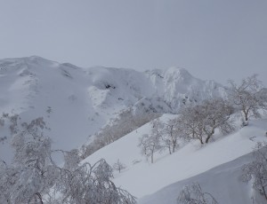 2016.2.17-23 (3-4)  春メイン二年班 ニペソツ東稜敗退