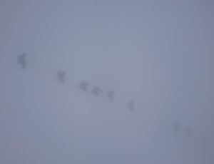 2016.12.24-29.冬メイン一年班前半オプタテシケAt