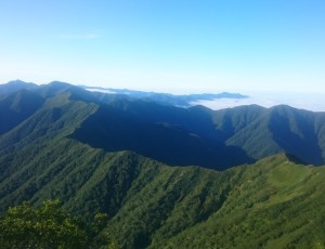2016.7.23-24.豊似川右股~トヨニ南東尾根