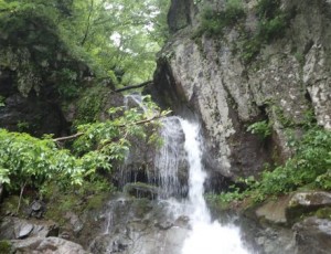 2016.7.9-4.平田内川~浄瑠璃川