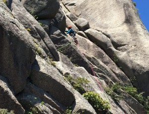 2017.06.09.御在所前尾根