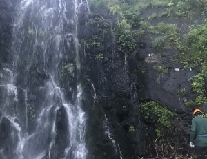 報告2017.7.29-30(2-0)  群別川~群別岳~幌川