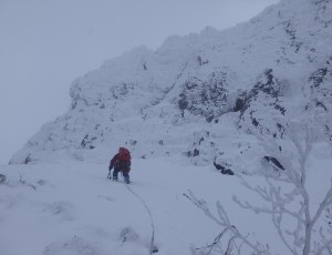 2017.11.19.上ホロ化物岩右