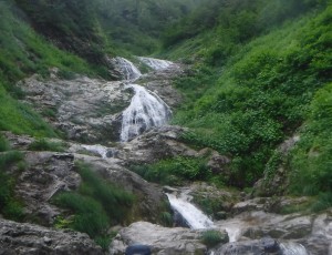 報告_2018.8.14-21(6-2) 夏メイン2年班 ナナシ沢1839北面