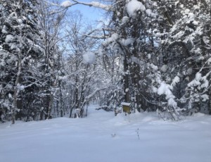 2018.12.22-24 下ホロカメットク山At