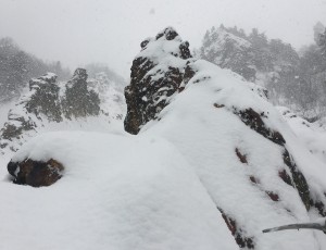 2019.2.5 赤岩スカイリッジ