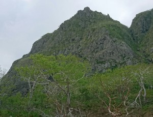 2019.06.08-09(2-0) 芦別登攀