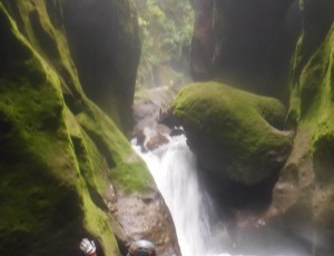 2019.07.20.電気の沢(荒井川)