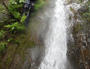 2019.6.23 札的3の沢左股〜1の沢