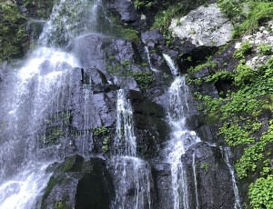 2019.6.29〜30(2-0) 余別51点沢左股〜珊内岳〜122点沢