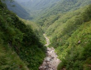 2022.07.30-31(2-0) 十勝岳北西面左股~コイボクメナシュン〜楽古岳
