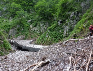 2022.07.09(1-0)見市川支流冷水沢敗退